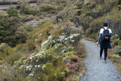 Hiking in the Park