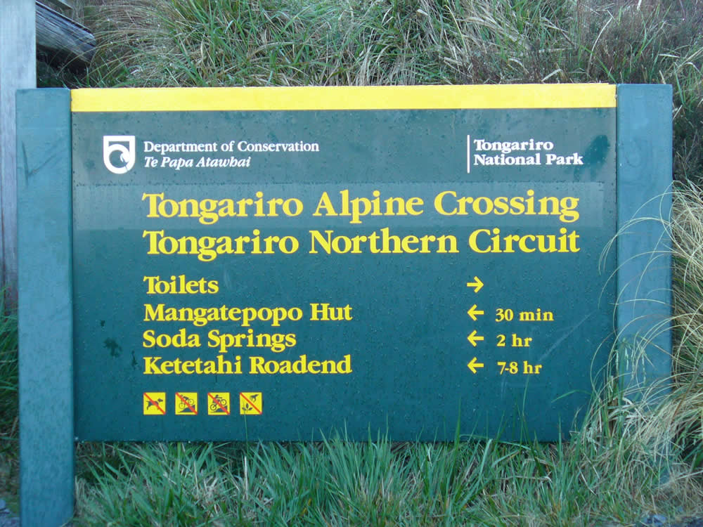 tongariro crossing shuttles